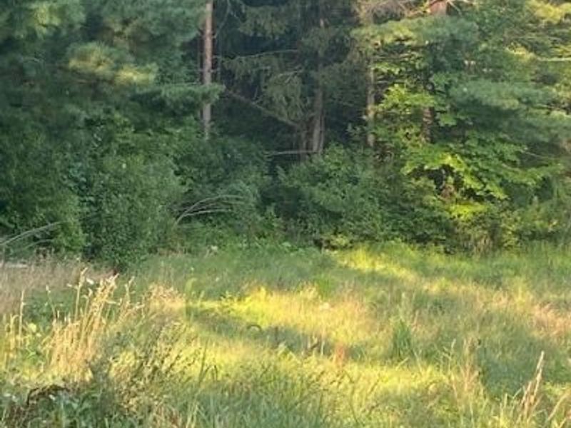 11065 Chillicothe Road, Kirtland, OH 44094 Photo 14