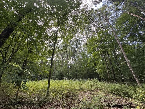 4540 Ross Drive, Benton Harbor, MI 49022