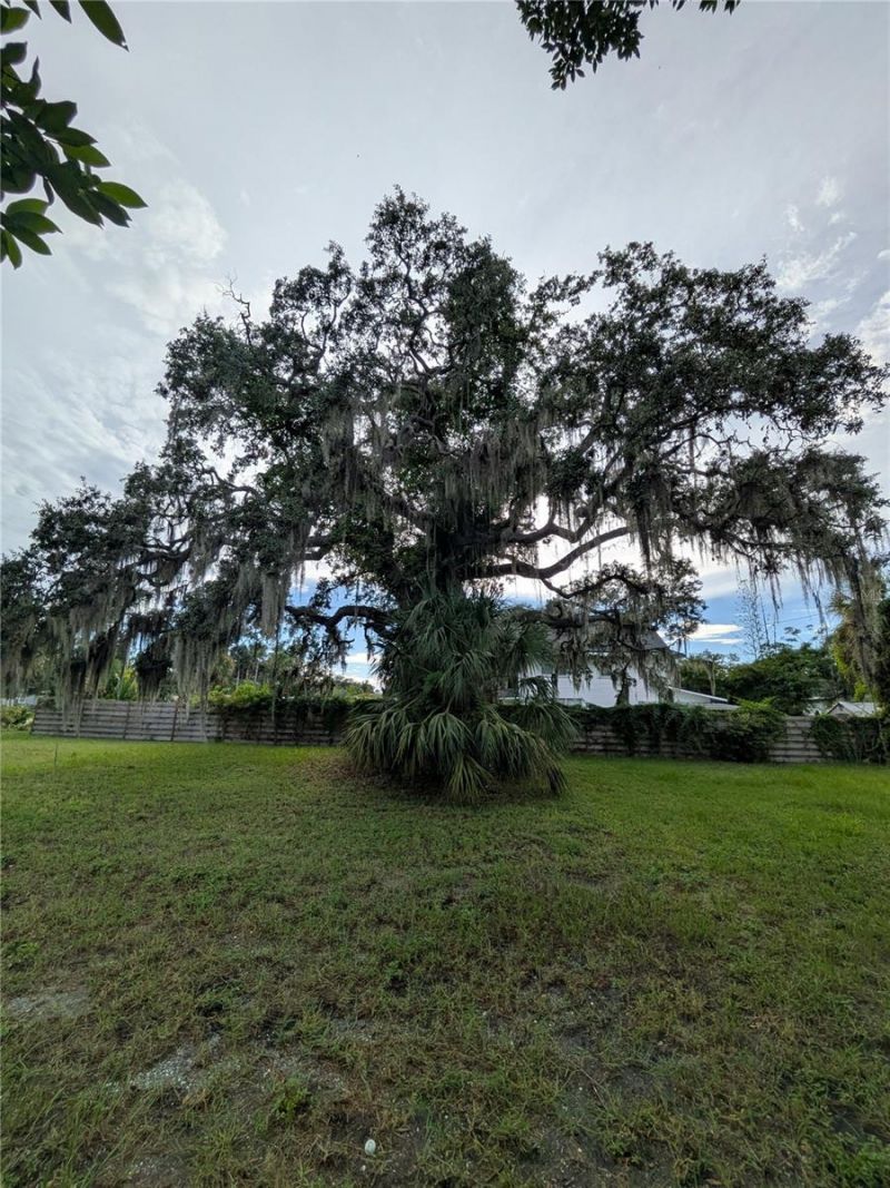 731 36th Avenue S, Saint Petersburg, FL 33705 Photo