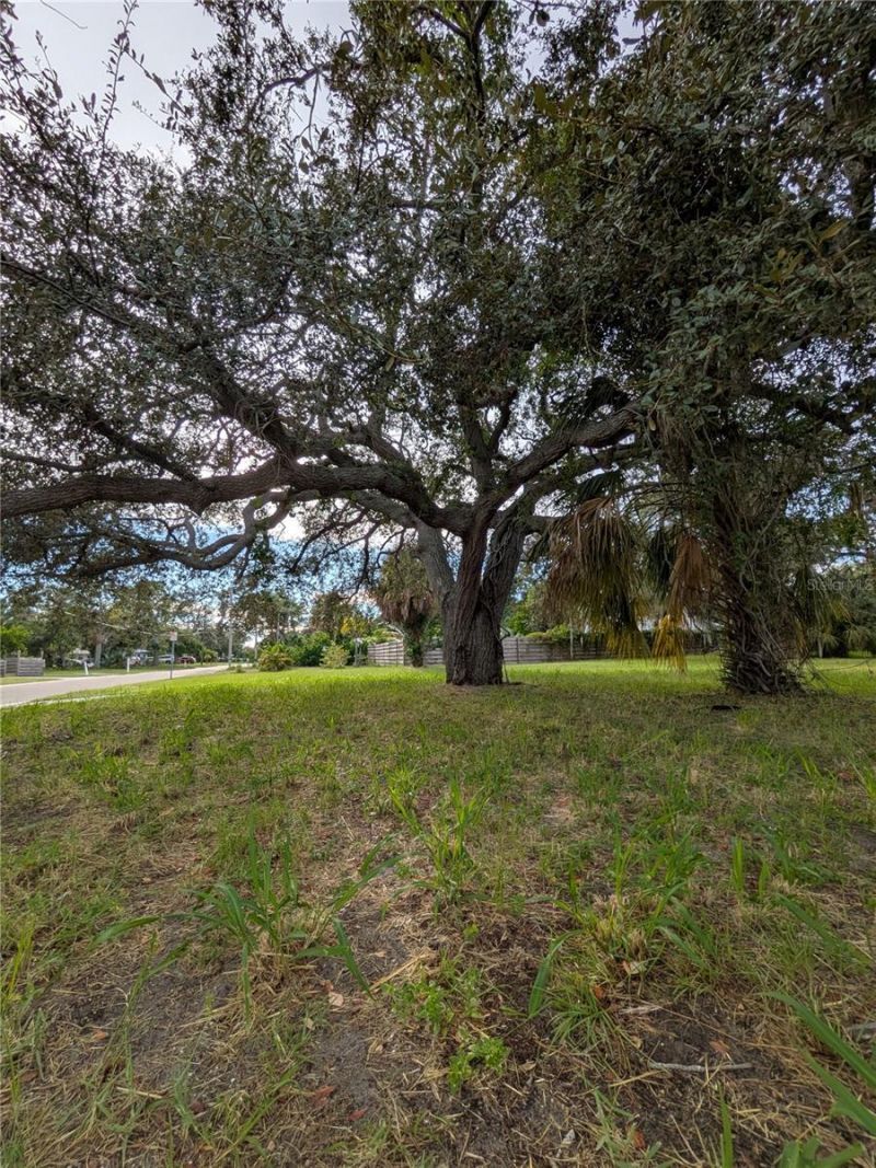 731 36th Avenue S, Saint Petersburg, FL 33705 Photo