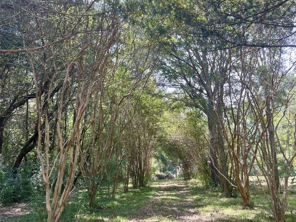 286 Patty Street, Opelousas, LA 70570