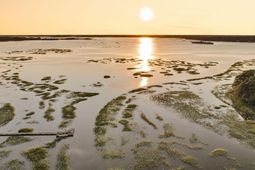 1358 Polly Point Road photo 4