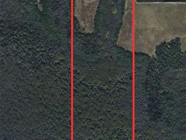 NEAL ROAD, PUNTA GORDA, FL 33982