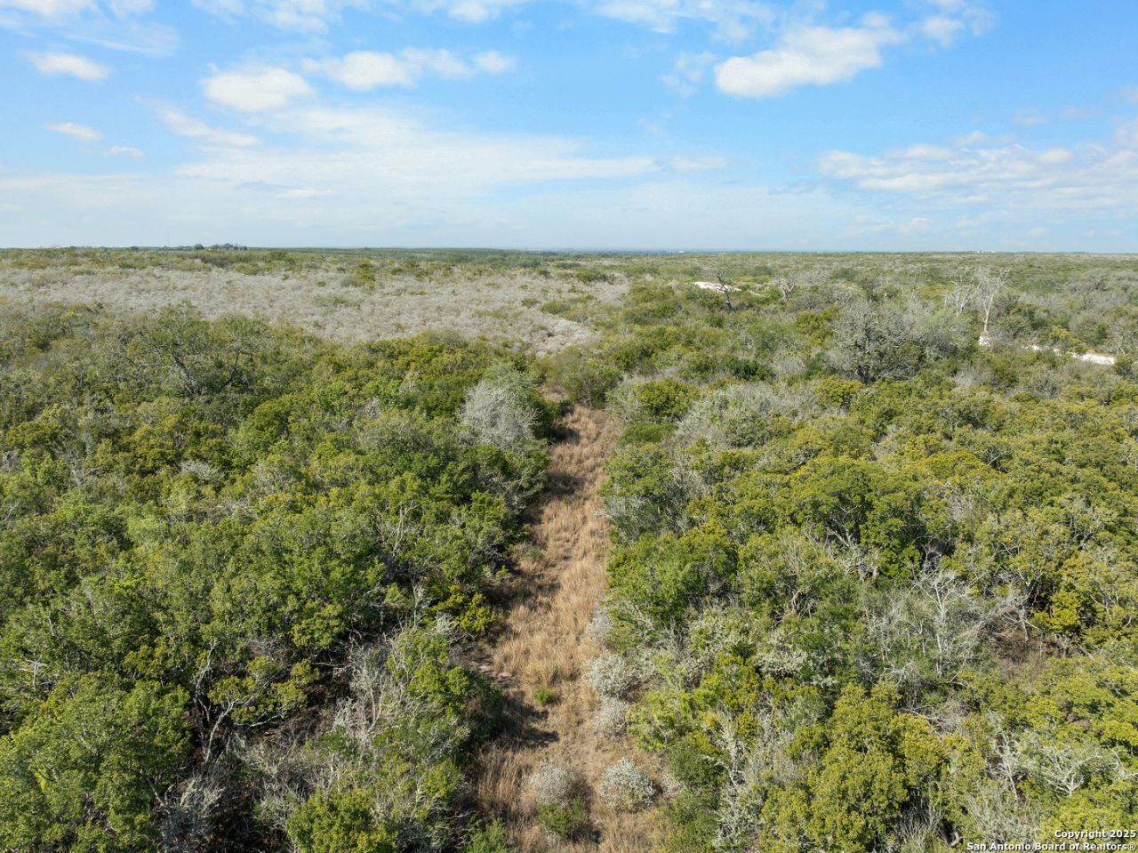 Tbd County Road 343, George West, TX 78022 Main Photo