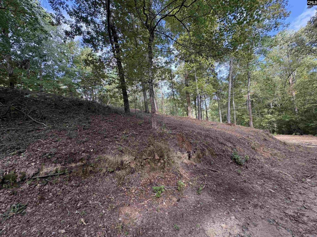 80 Valley 1 Drive  Photo 4