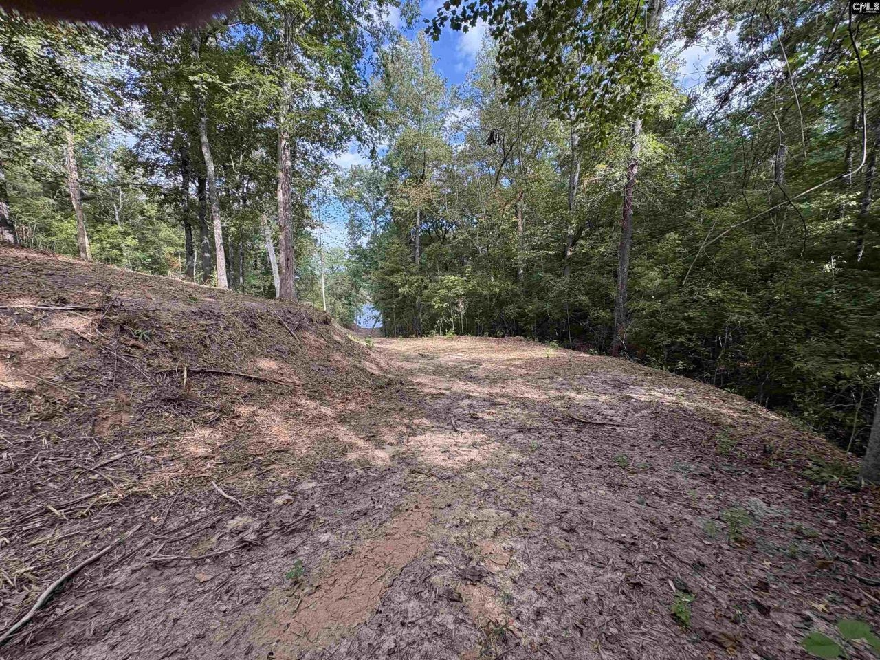 80 Valley 1 Drive  Photo 5