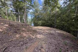 80 Valley 1 Drive  photo 4