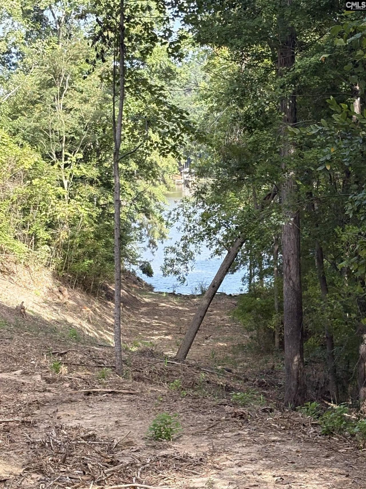 80 Valley 1 Drive  Photo 6