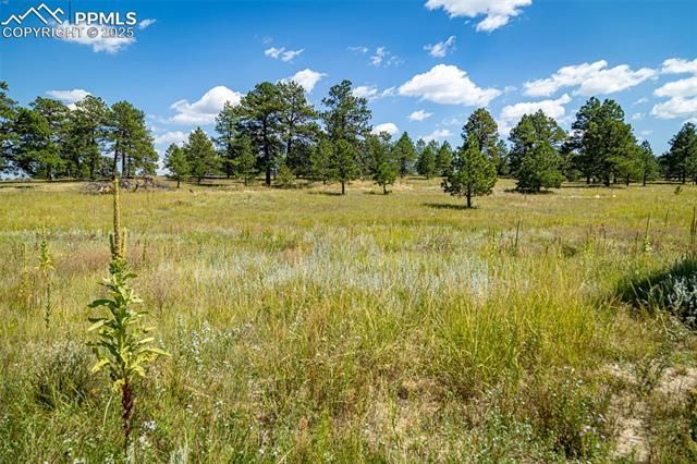 16759 Winsome Way, Colorado Springs, CO 80908 Main Photo