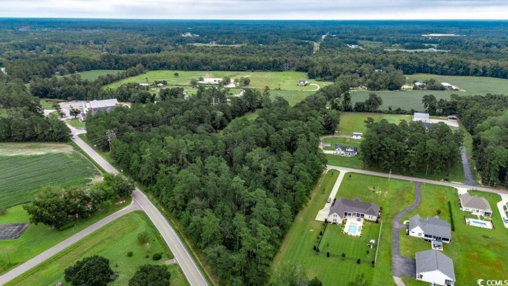 313 Basswood Ct. Photo 38