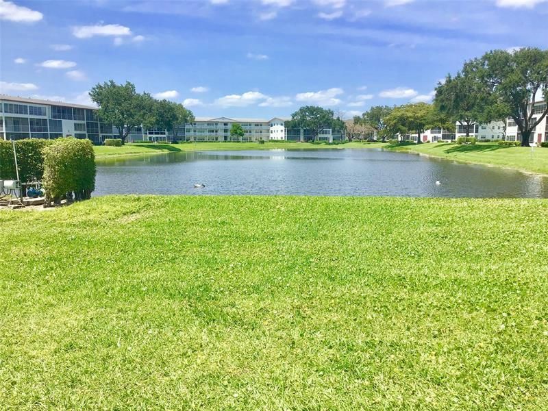135 Fanshaw D, Unit 135, Boca Raton, FL 33434 Photo