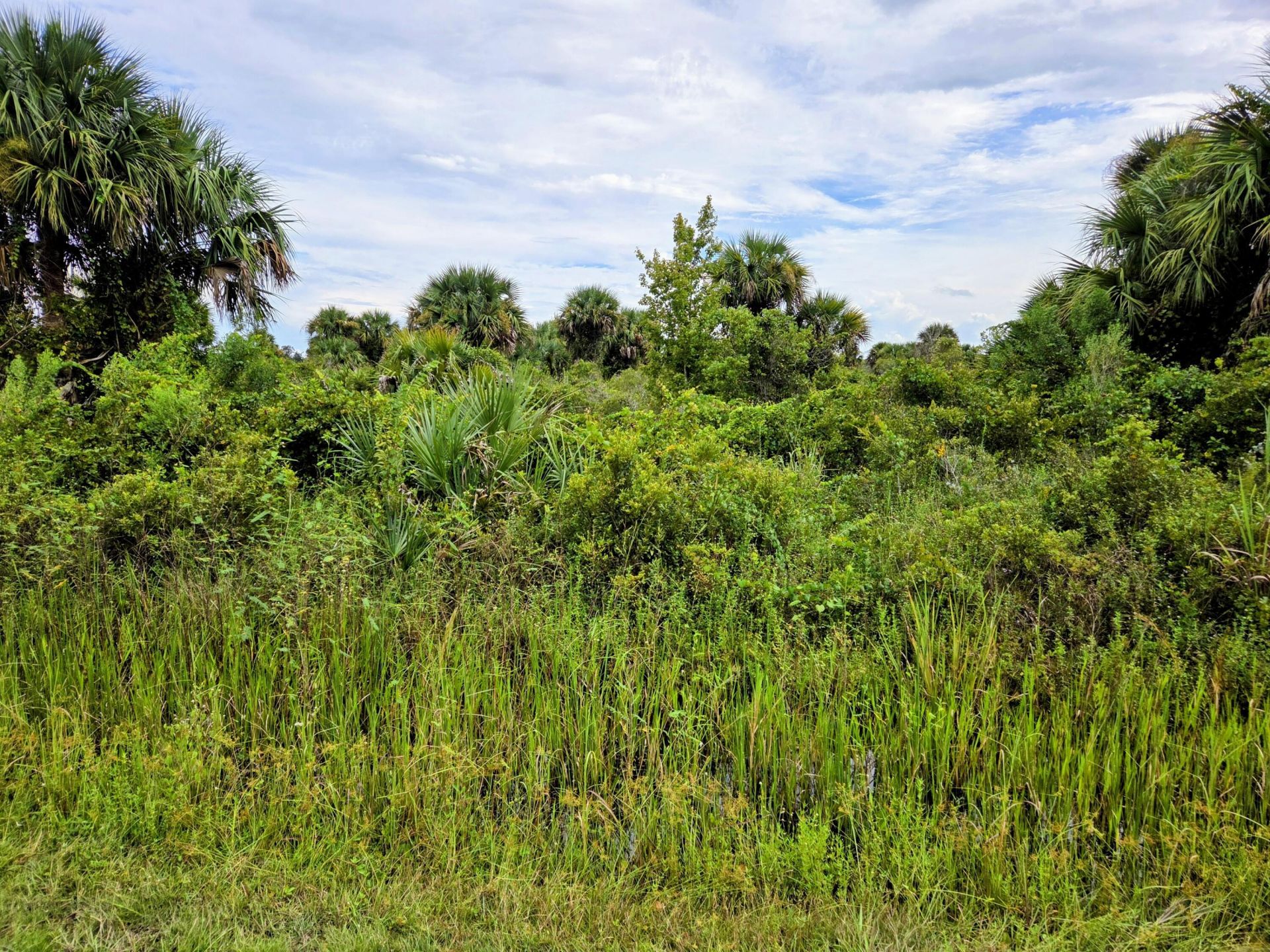 21018 NW 278th Street, Okeechobee, FL 34972 Photo