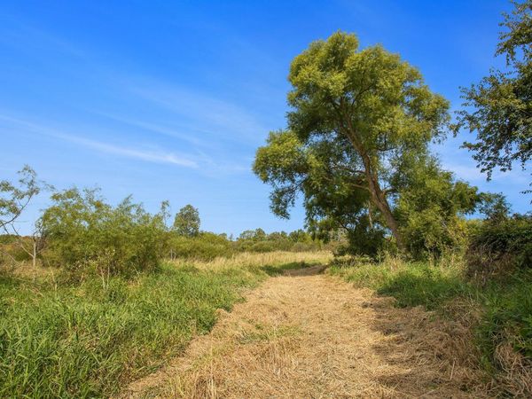 Marl Lake Road, Athens, MI 49011