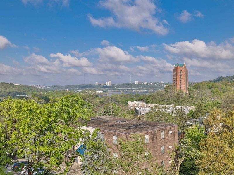 457 Strafer Street, Cincinnati, OH 45226 Photo 38