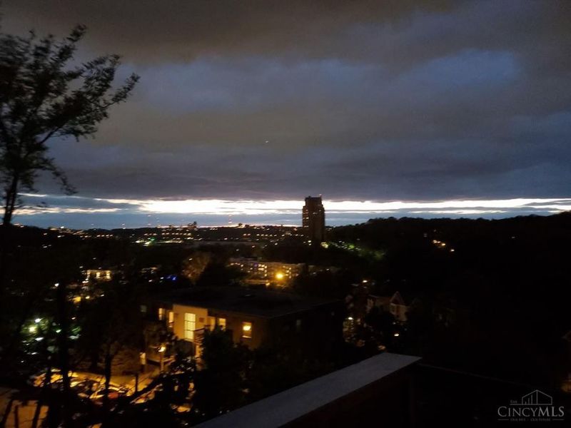 457 Strafer Street, Cincinnati, OH 45226 Photo 51