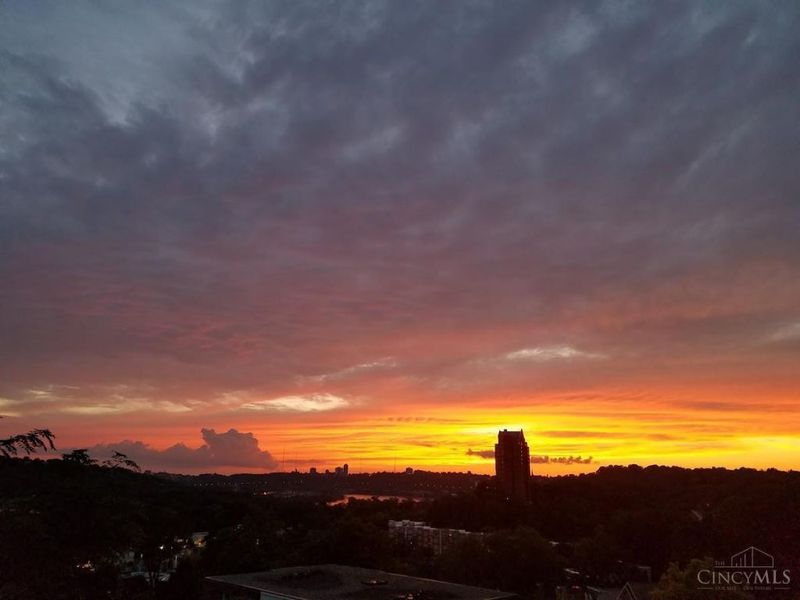 457 Strafer Street, Cincinnati, OH 45226 Photo 57