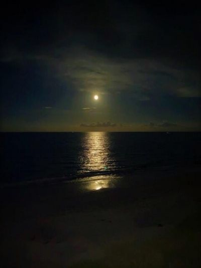 5080 N Ocean Drive, Unit 12c, Singer Island, FL 33404 Photo