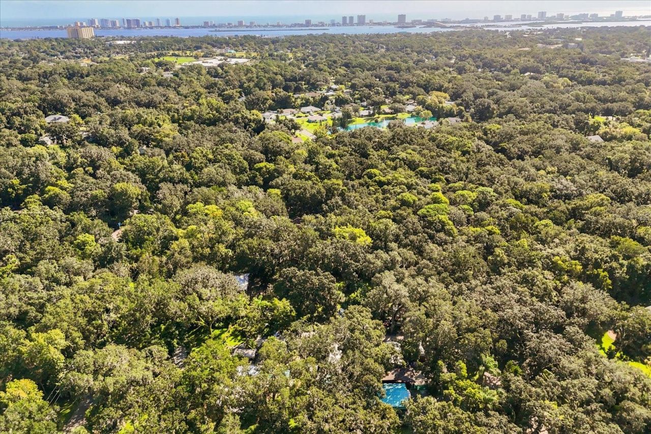 895 Nixon Lane, Port Orange, FL 32129 Photo