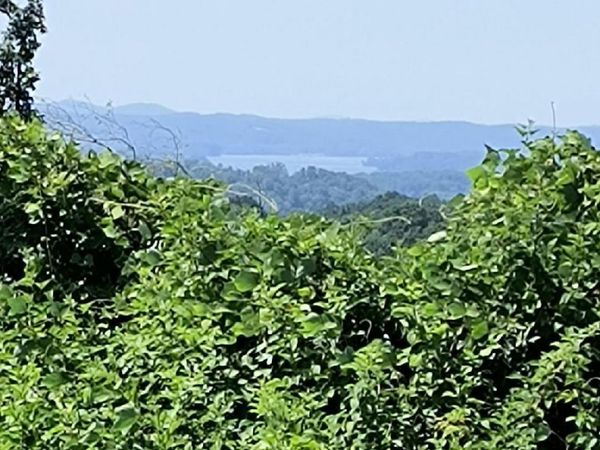 Ashe Cabin Hollow Rd, Harriman, TN 37748