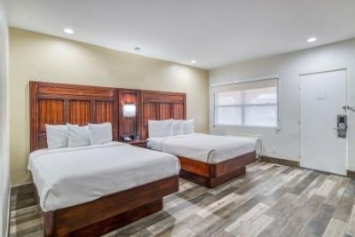 137 San Marco Ave, Saint Johns, FL 32084 Photo