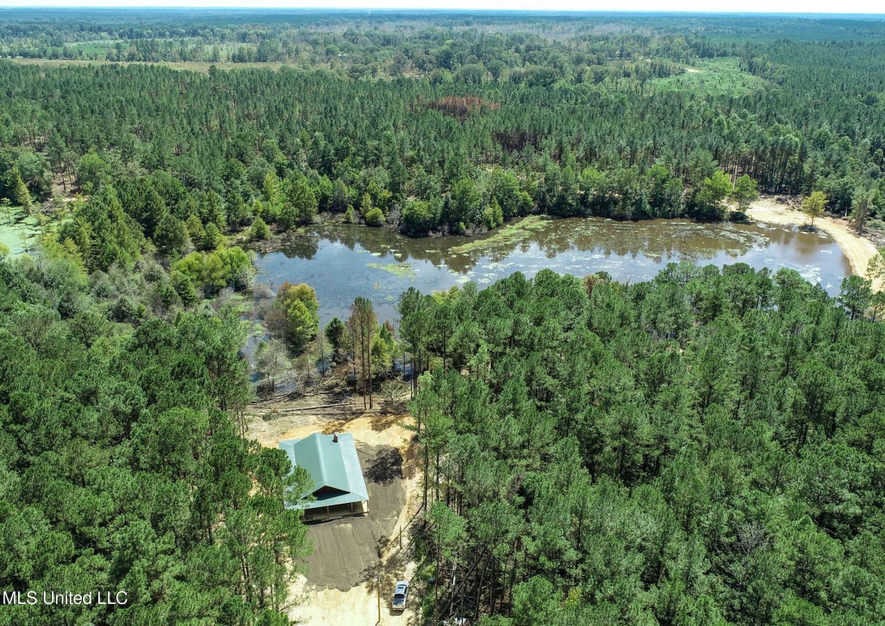 348 Beaverdam Road, Camden, MS 39045 Main Photo