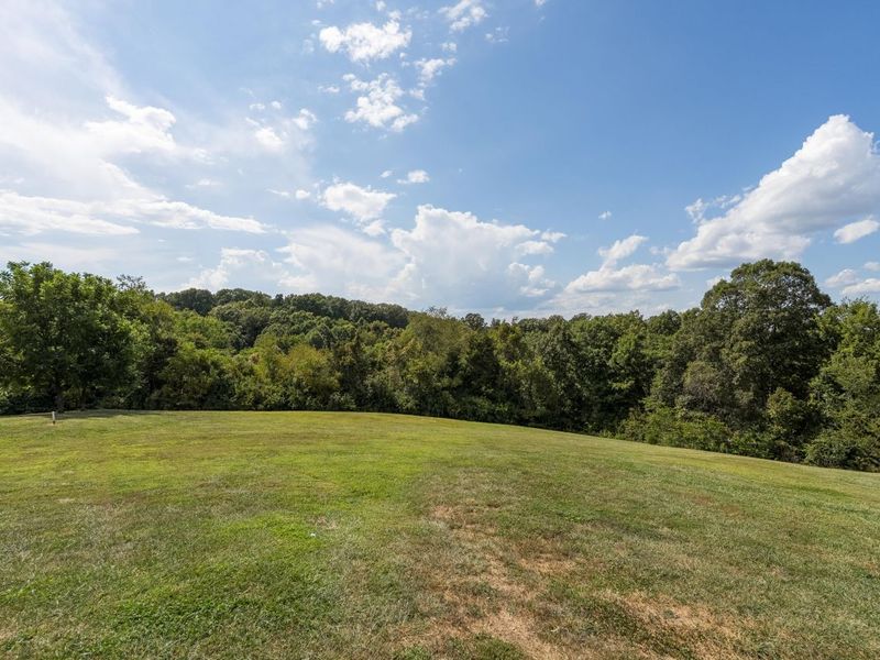 4290 Gardnersville Road, Crittenden, KY 41030 Photo 12