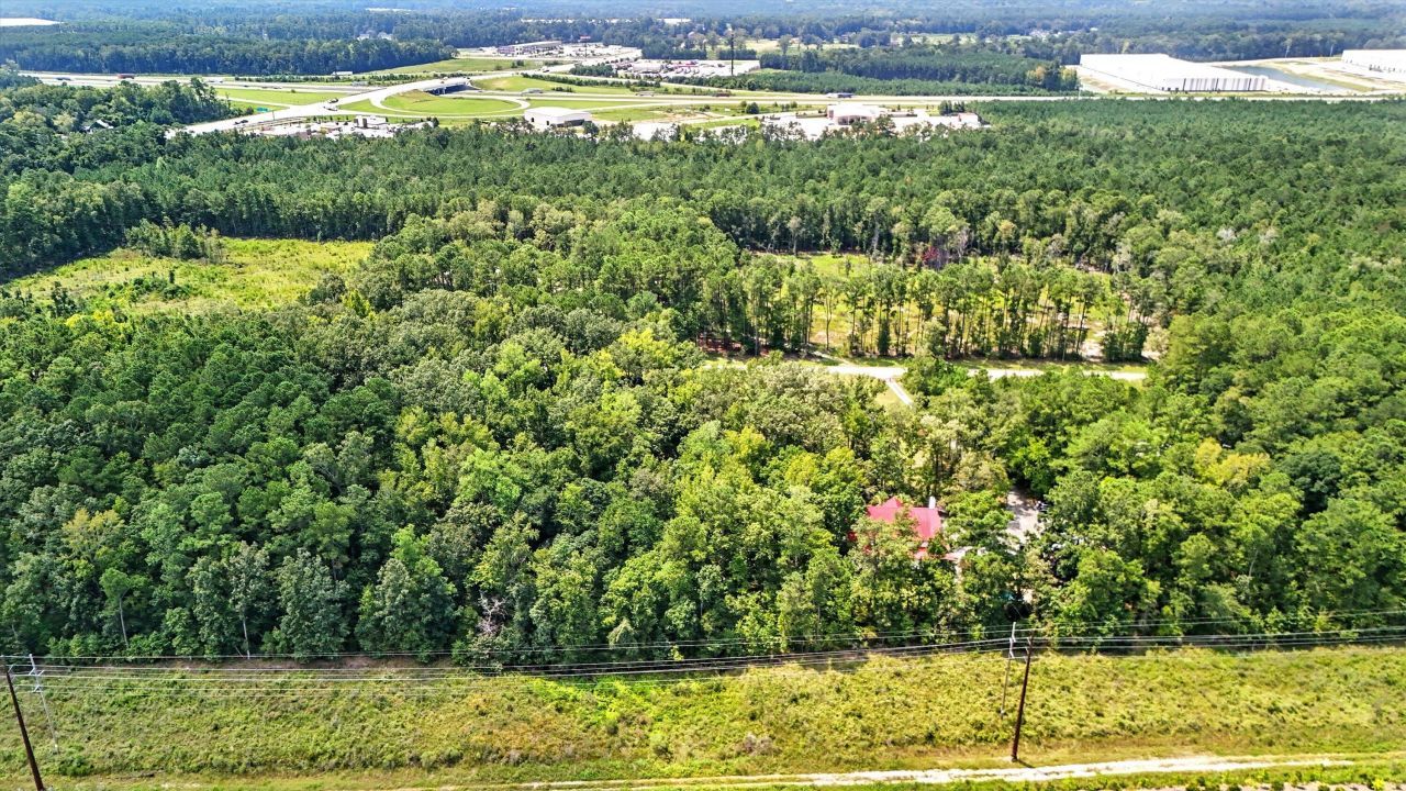 966 Hardwood Ln Lane  Photo 13