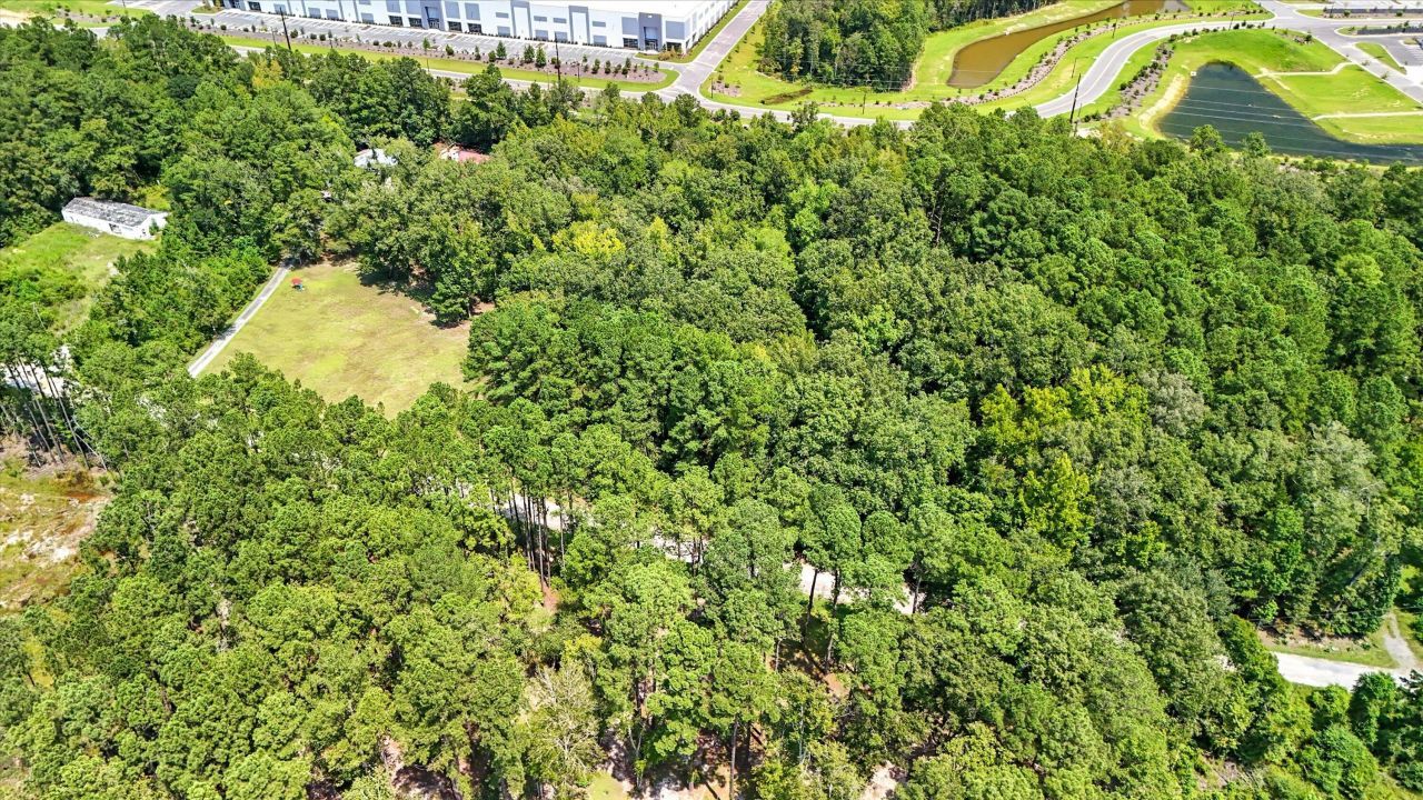 966 Hardwood Ln Lane  Photo 16