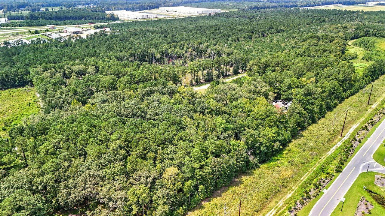 966 Hardwood Ln Lane  Photo 18