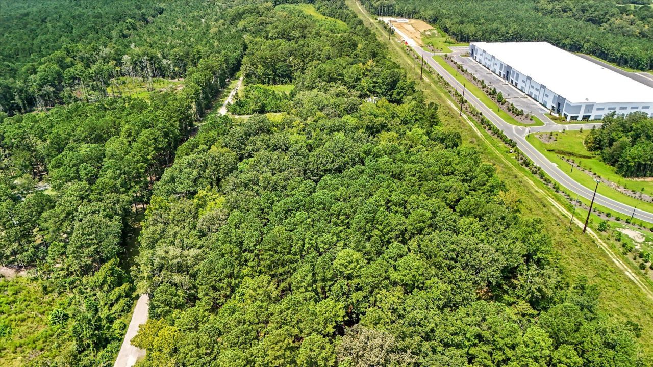 966 Hardwood Ln Lane  Photo 19