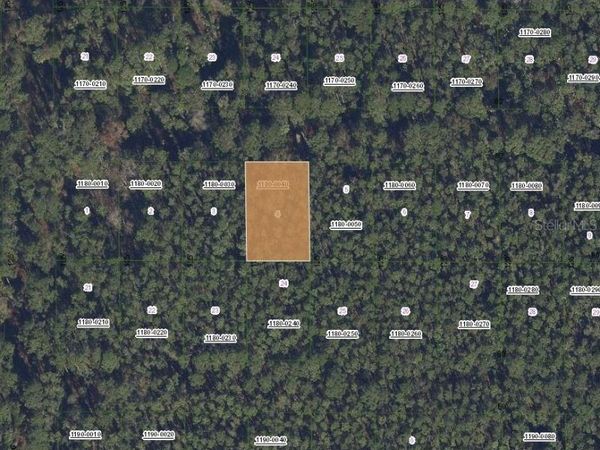 307 TROPICAL DRIVE, GEORGETOWN, FL 32139