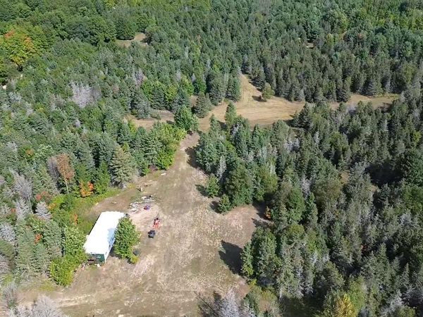 Henschell Road, Fife Lake, MI 49633