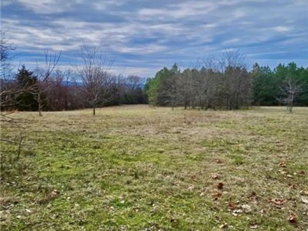 00 Gravel Hill A, Russellville, AR 72802