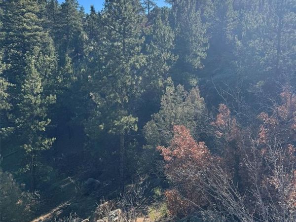 TR-1 G Path, Cotopaxi, CO 81223