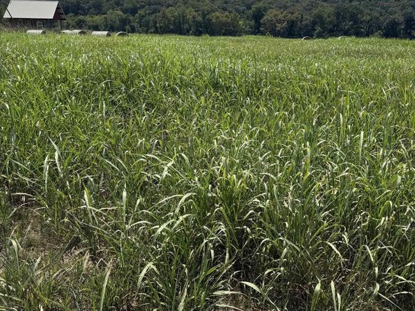 39-40 White River Run, Guion, AR 72540