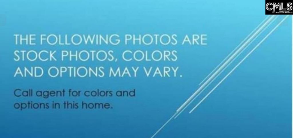 145 Monroe Preserve Drive Photo 11