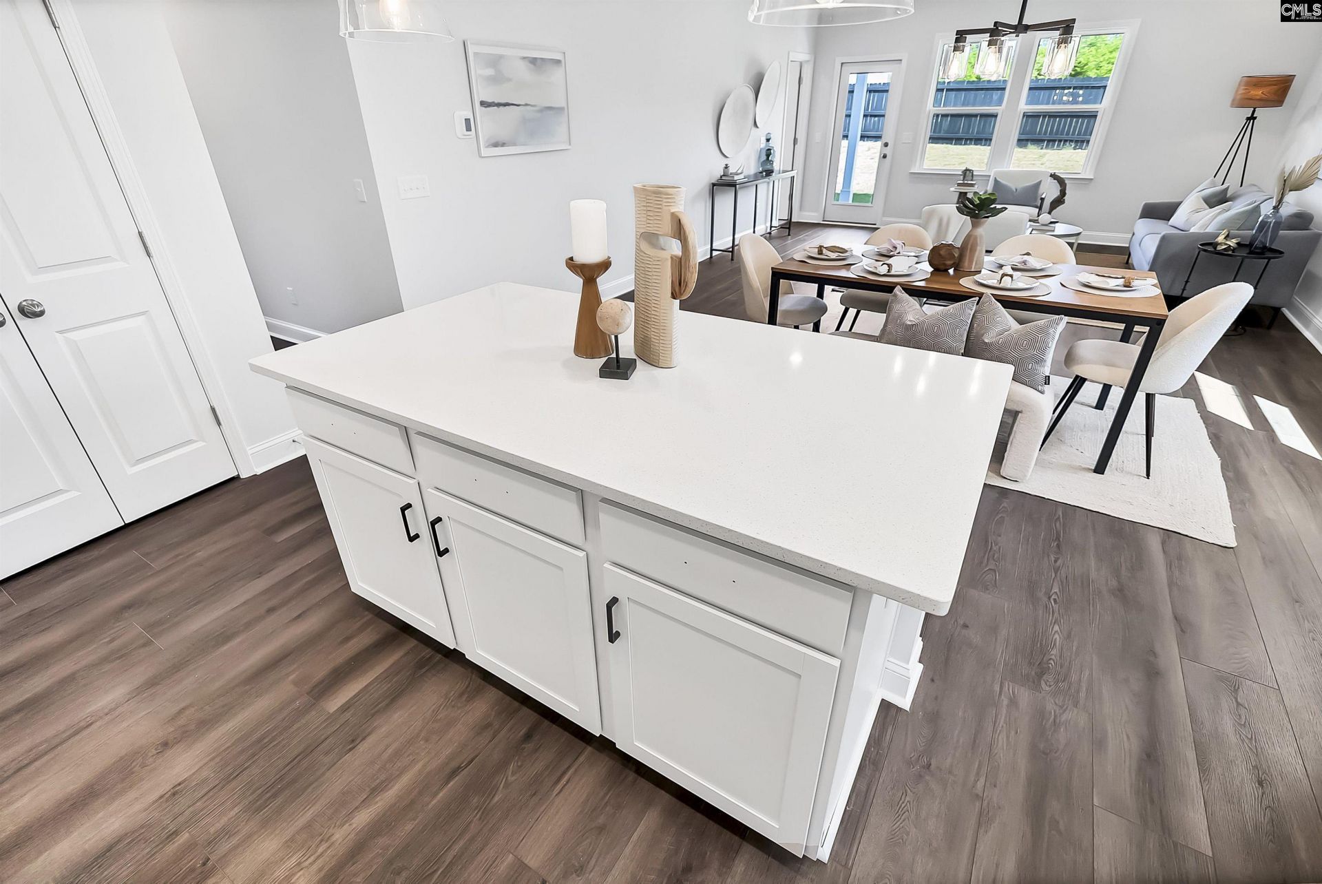 145 Monroe Preserve Drive Photo 8