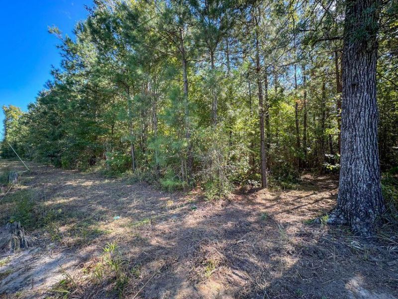 1 Hard Pinch Road Photo 11