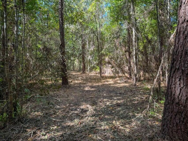 1 Hard Pinch Road Photo 12