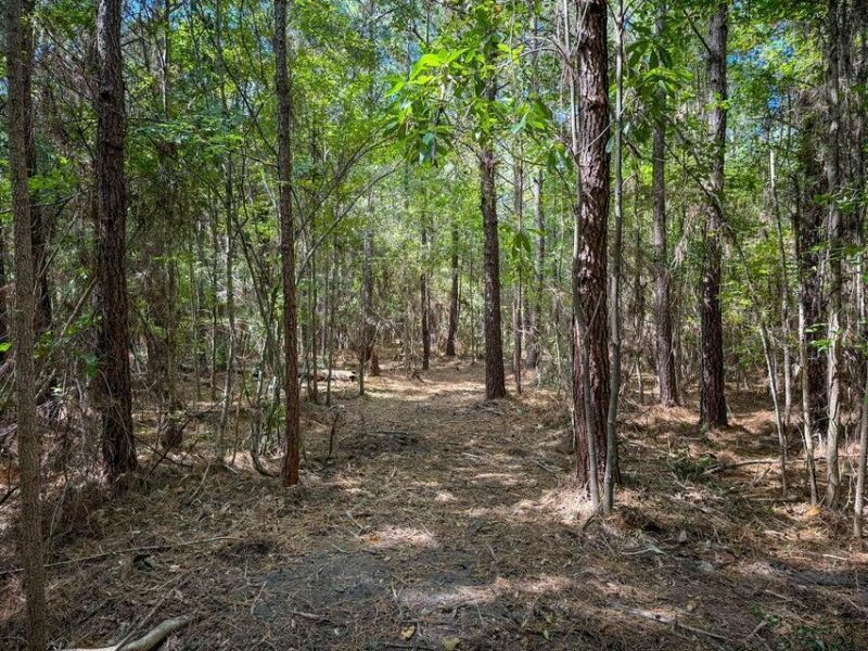 1 Hard Pinch Road Photo 13