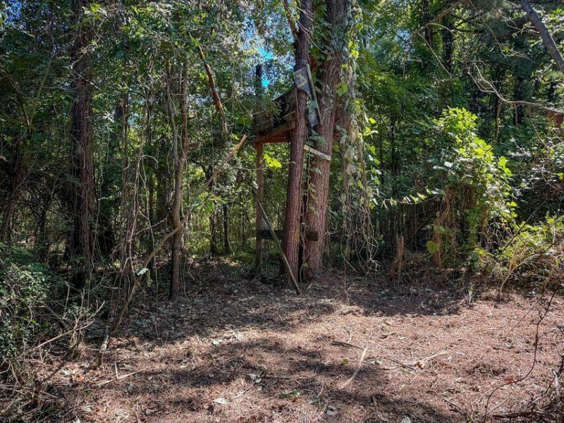 1 Hard Pinch Road Photo 5