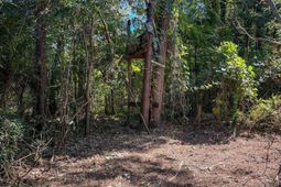 1 Hard Pinch Road photo 4