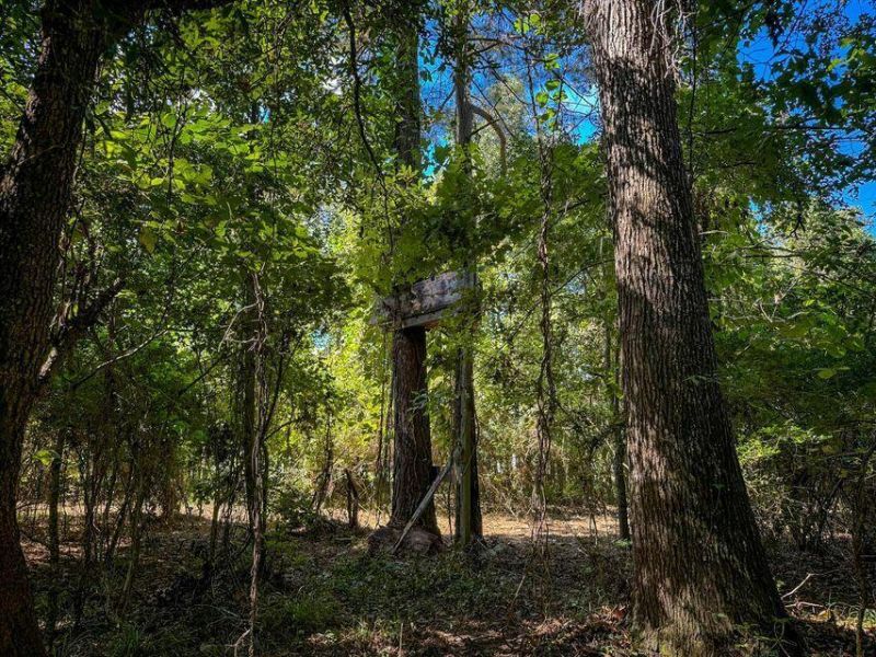 1 Hard Pinch Road Photo 7