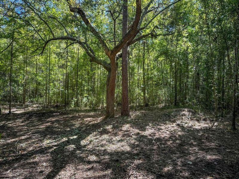 1 Hard Pinch Road Photo 7