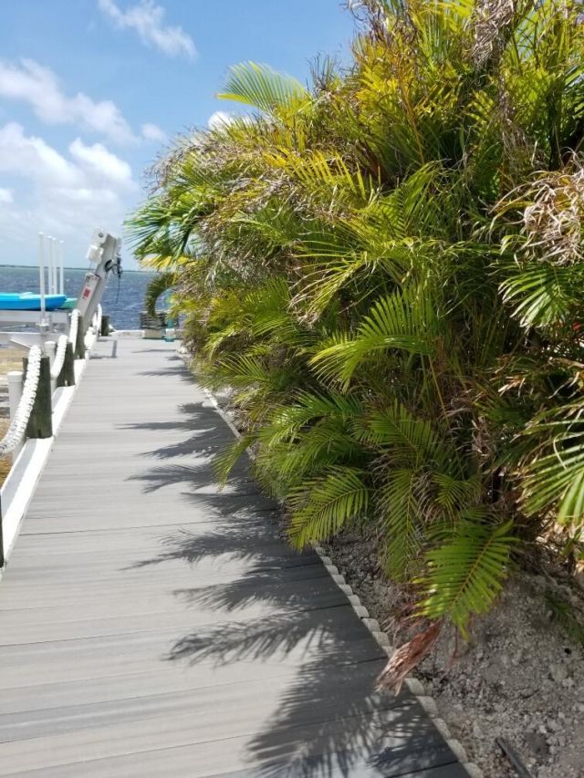 31253 Hibiscus Drive, Big Pine Key, FL 33043 Photo