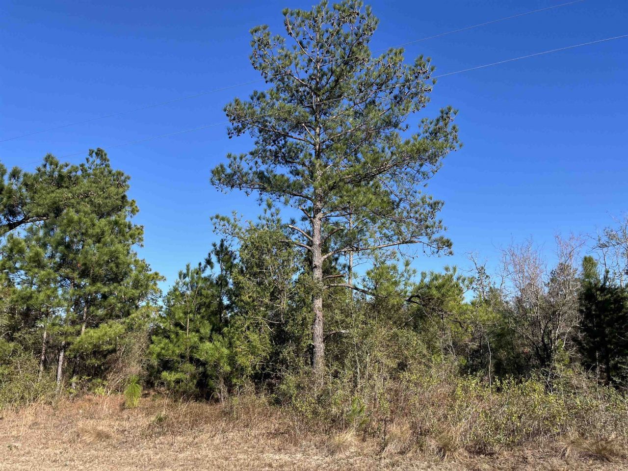 Fairview Road, Marianna, FL 32448 Photo