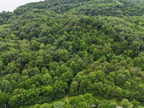 Fortunato Drive, Baneberry, TN 37890