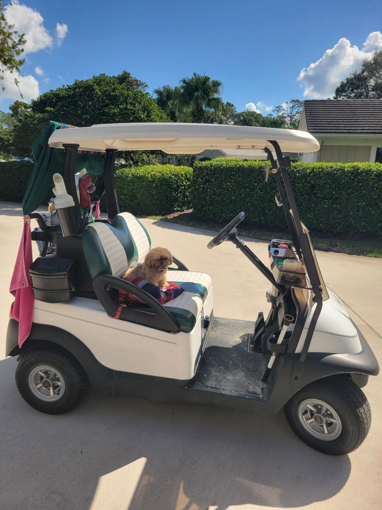 12823 NW Cinnamon Way, Palm City, FL 34990 Photo