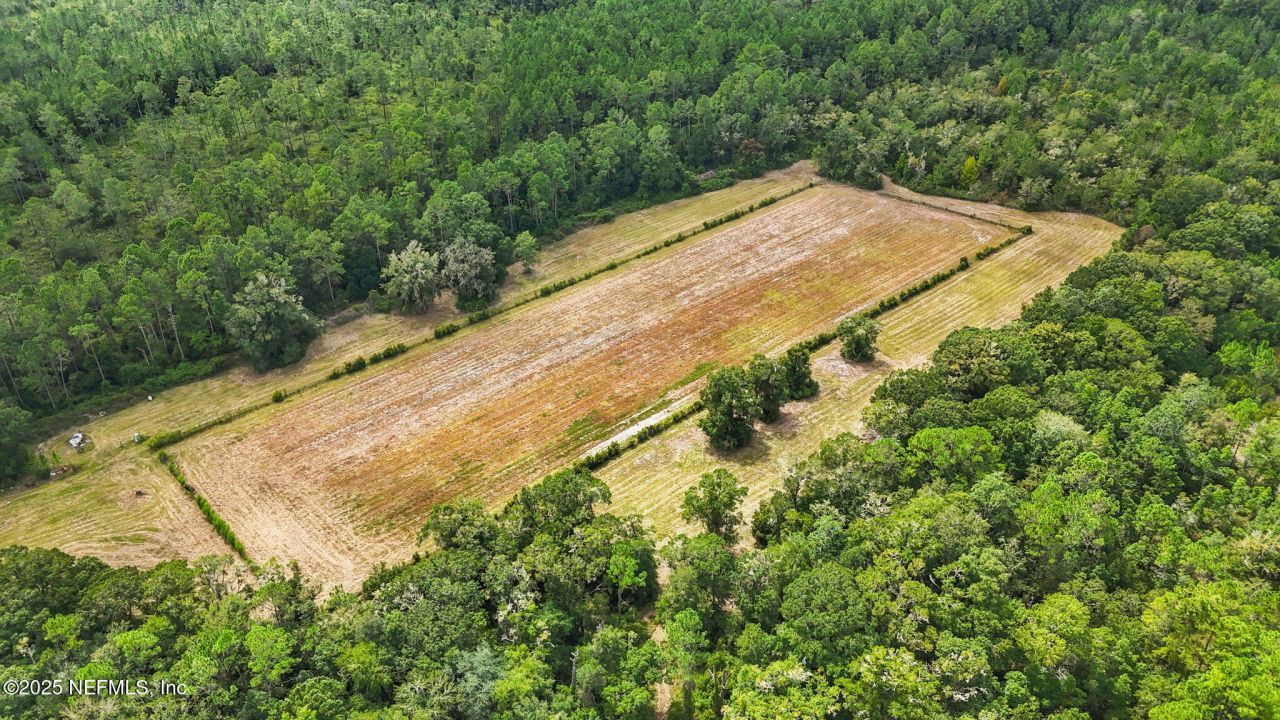 2064 Louie Carter Road, Maxville, FL 32234 Photo