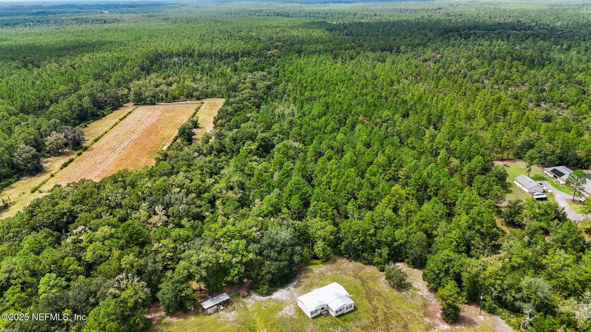 2064 Louie Carter Road, Maxville, FL 32234 Photo